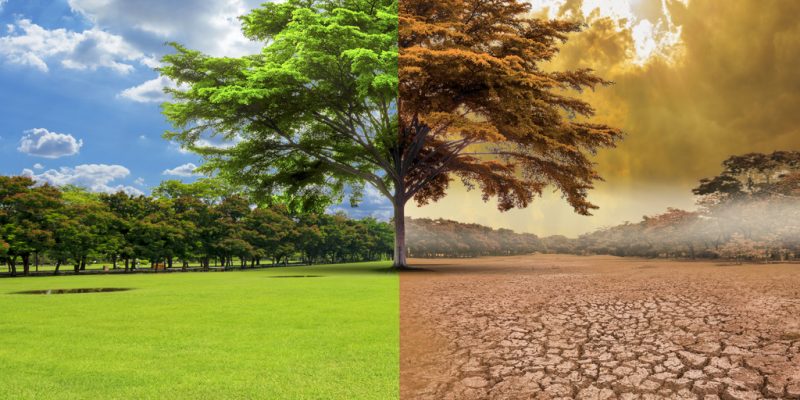CÔTE D’IVOIRE : le pays progresse dans la lutte contre le changement climatique©Photomontage / Shutterstock