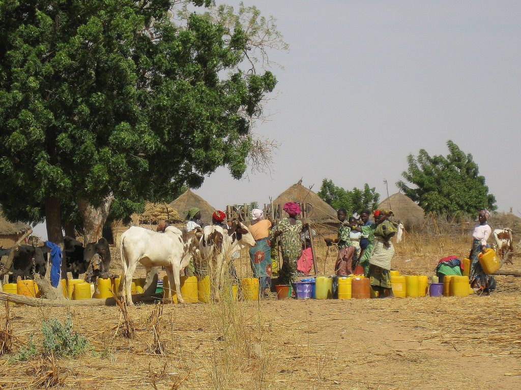 TCHAD : le gouvernement lance un projet d’eau et d’assainissement à Moundou©Water Alternatives