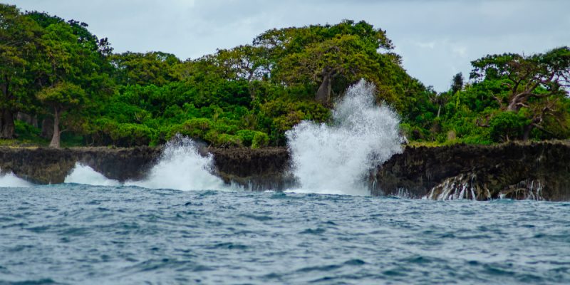 AFRIQUE CENTRALE : six propositions de l’Unesco pour des côtes résilientes au climat©Dan Rata/Shutterstock