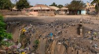 ZAMBIA: UNDP promotes innovative waste management initiatives©Peek Creative Collective/Shutterstock