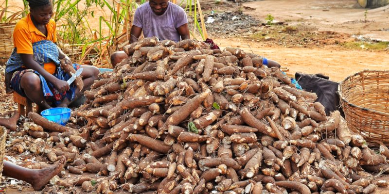 NIGERIA: Consortium to transform cassava peels into energy©/Shutterstock