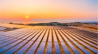 ZIMBABWE: Cement manufacturer PPC to build solar power plant of 32 MWp©Shutterstock