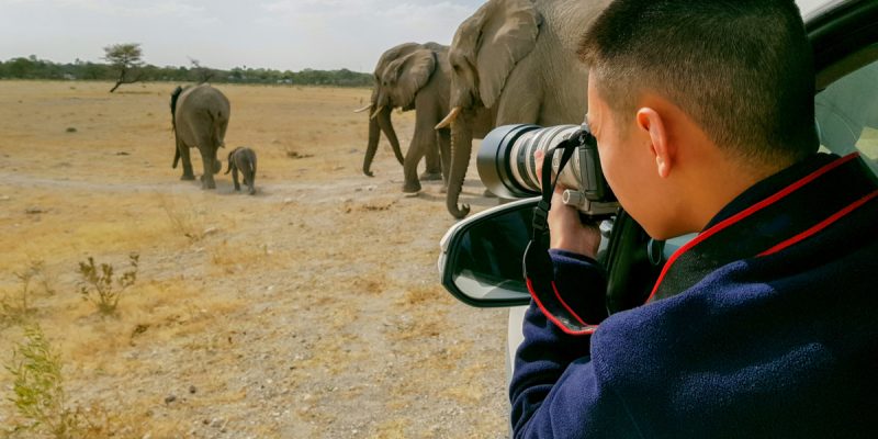AFRICA: More than 70 photographers raise funds for wildlife ©huang jenhung/Shutterstock