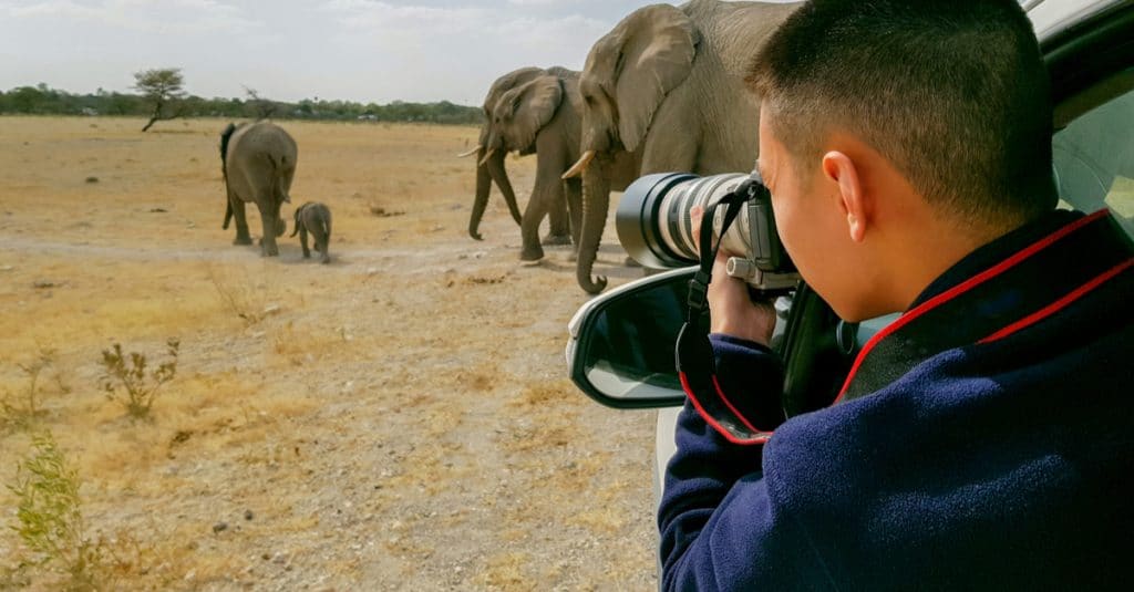 AFRIQUE : plus de 70 photographes collectent des fonds pour la faune sauvage ©huang jenhung/Shutterstock