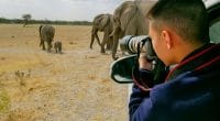 AFRIQUE : plus de 70 photographes collectent des fonds pour la faune sauvage ©huang jenhung/Shutterstock