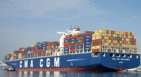 GAMBIA: Shipowner CMA-CGM suspends timber exports©Sheila Fitzgerald/Shutterstock