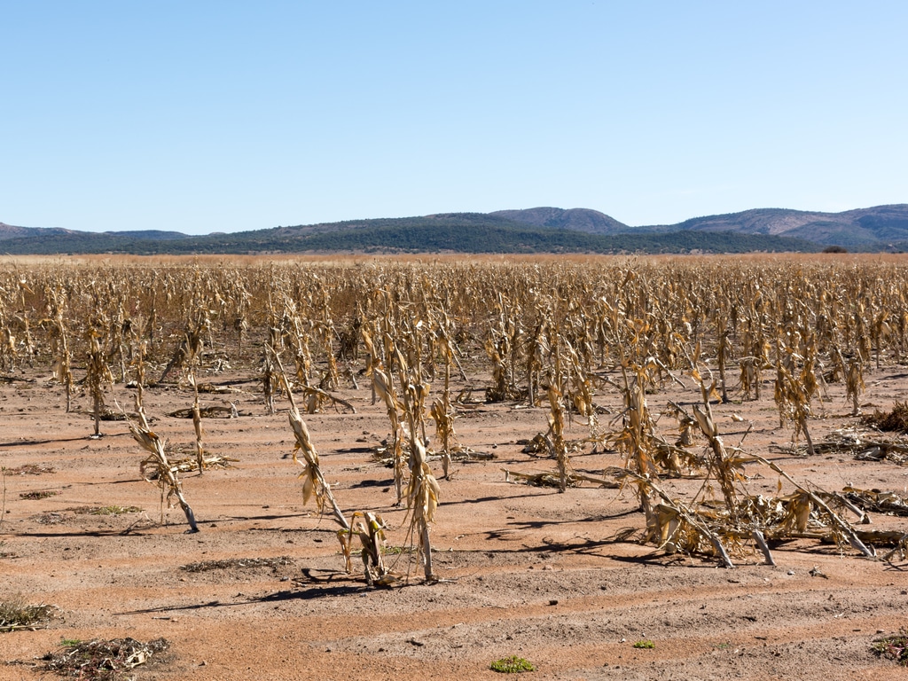 ANGOLA : Fida, AFD et Badea injectent plus de 111,8 M$ dans la résilience climatique©Wildeside/Shutterstock