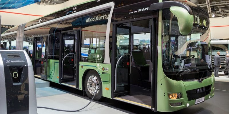 SEYCHELLES : vers l’utilisation des bus électriques dans le transport public ©VanderWolf Images/Shutterstock