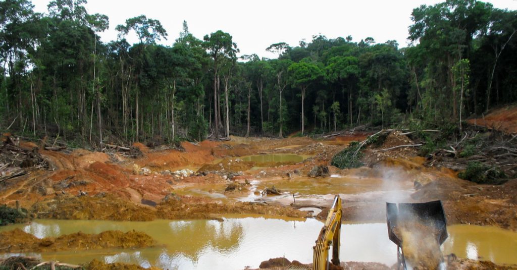 CAMEROUN : Greenpeace dénonce le financement accordé au projet agroindustriel Sudcam©kakteen/Shutterstock