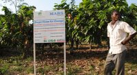 COTE D'IVOIRE: GCF allocates $11 million to an FAO-supported agro-ecology project©DR