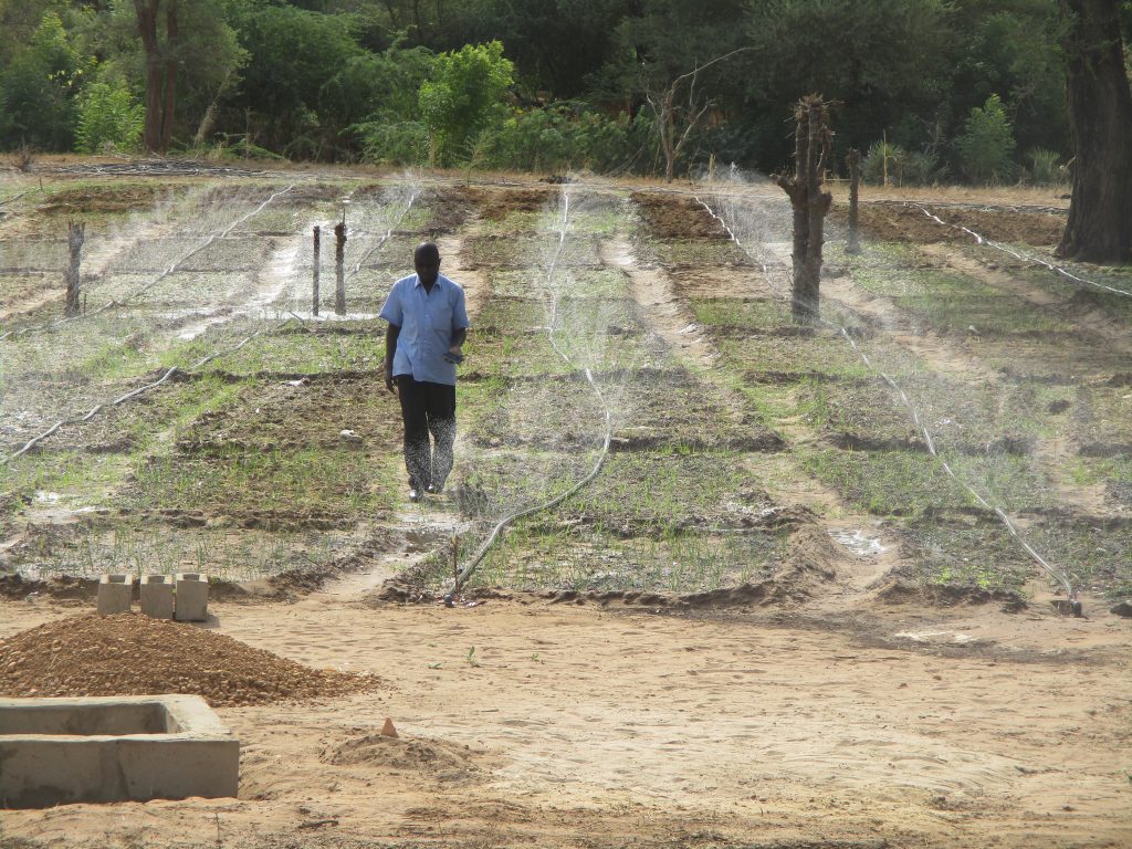 NIGER: Startup company launches solar-powered remote irrigation system©Tech-Innov