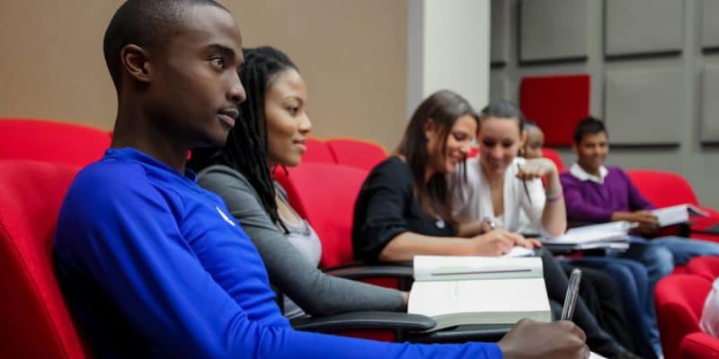 GHANA : l’université de l’environnement va former sa première cuvée d’étudiants : ©Sunshine Seeds/Shutterstock