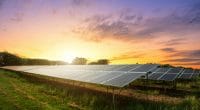 ALGÉRIE : l’État veut produire 1000 MWc à travers de petites centrales solaires©Thinnapob Proongsak/Shutterstock