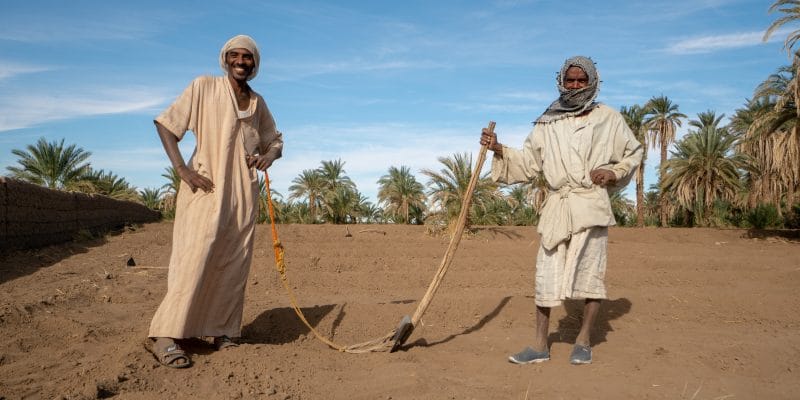 SUDAN: $26 million from GCF and UNDP for climate change resilience ©Felix Friebe/Shutterstock