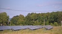NIGERIA: Government calls for tenders on several solar mini grids projects©Christian Badescu/Shutterstock