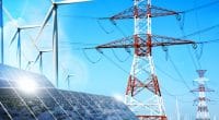 CEDEAO : l’Irena veut renforcer les réseaux électriques avec l’énergie verte©Eviart/Shutterstock