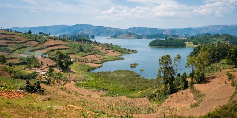RWANDA : Rema scelle 4 fermes agricoles pour protéger la biodiversité du lac Kivu©Petr Klabal/Shutterstock