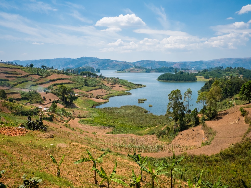 RWANDA : Rema scelle 4 fermes agricoles pour protéger la biodiversité du lac Kivu©Petr Klabal/Shutterstock