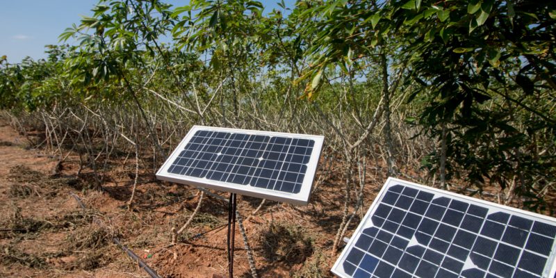 AFRICA: UNDP-supported project combines solar and agriculture in 9 countries©©EAKNARIN JITONG/Shutterstock