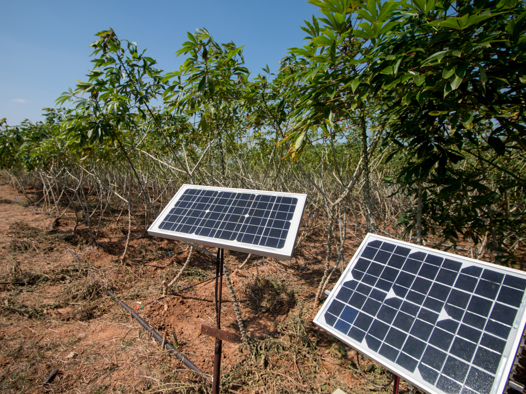 AFRICA: UNDP-supported project combines solar and agriculture in 9 countries©©EAKNARIN JITONG/Shutterstock