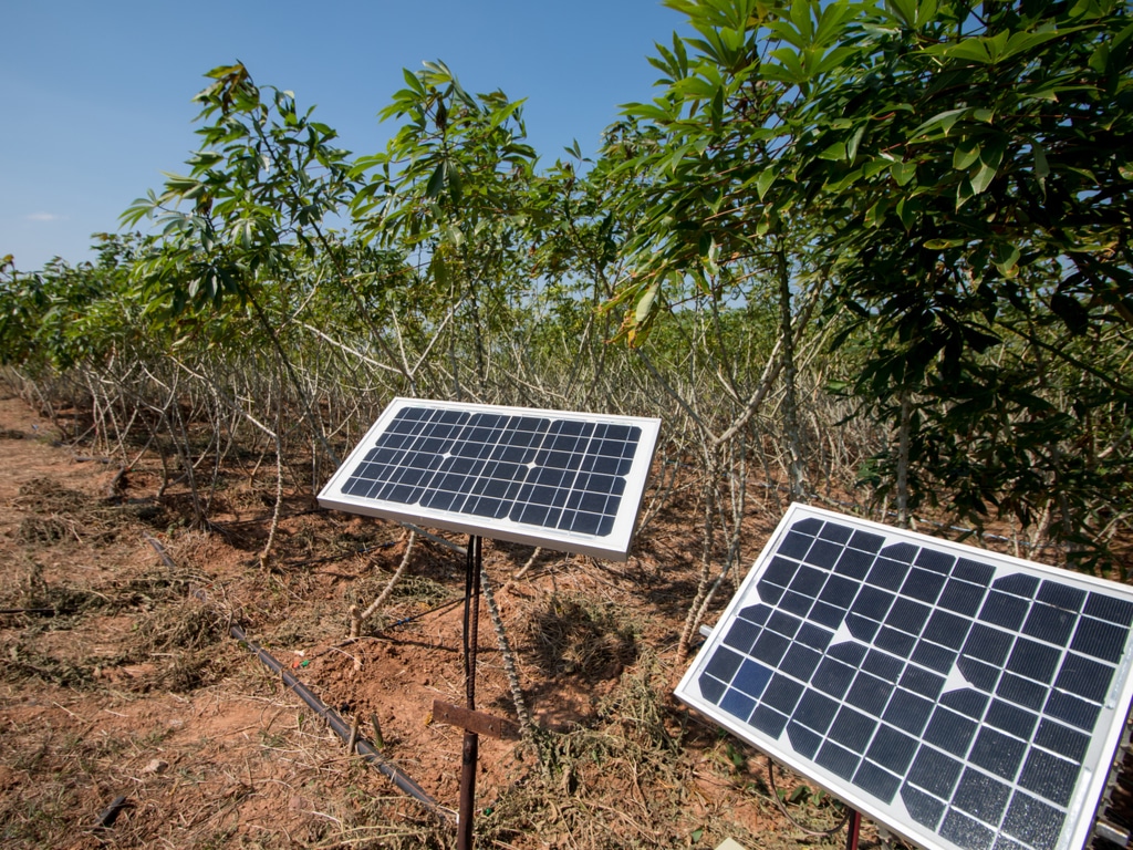 AFRIQUE : soutenu par le Pnud, un projet allie le solaire et l’agriculture dans 9 pays©EAKNARIN JITONG/Shutterstock