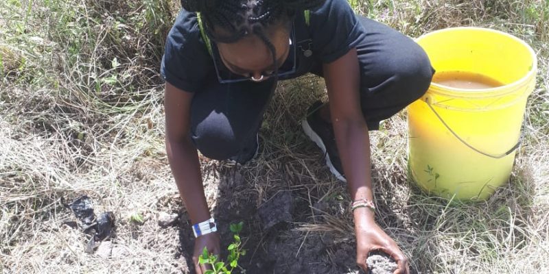 KENYA: Call for participation in the planting of 10,000 trees in Nairobi Park©Skippy Adventures Tours & Events