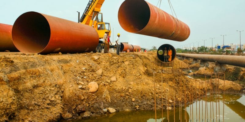 SÉNÉGAL : le projet de dessalement des Mamelles entre dans sa dernière phase©Hari Mahidhar/Shutterstock