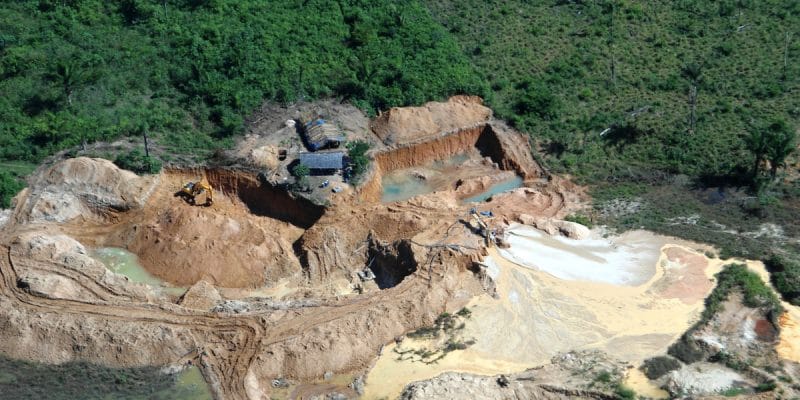 ZIMBABWE : l’État interdit les activités minières dans les parcs et les rivières ©Tarcisio Schnaider/Shutterstock