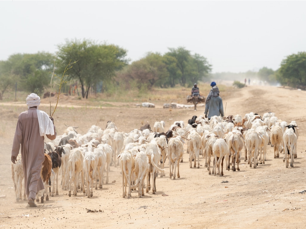 NIGER: €4 M from ADF for drought risk management ©mbrand85/Shutterstock