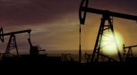OUGANDA : un nouveau rapport pointe le risque écologique du projet pétrolier de Total©Skorzewiak/Shutterstock