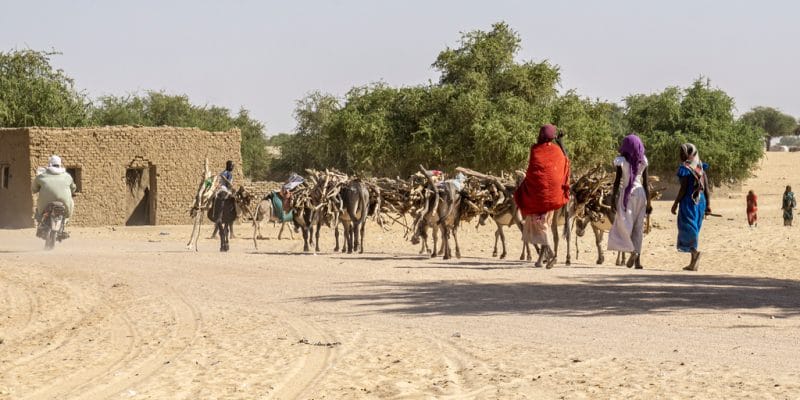 AFRIQUE : le bureau régional du GCA est ouvert pour l’adaptation au changement climatique ©Torsten Pursche/Shutterstock