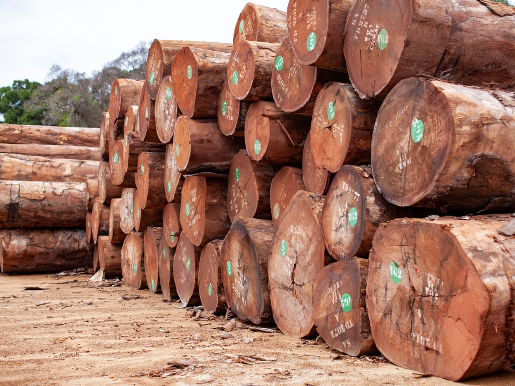 GABON: TraCer Project Ensures Sustainable Wood Management in the Nkok SEZ©Ayotography/Shutterstock