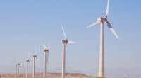 ÉGYPTE : un appel d’offres pour l’exploitation du parc éolien de Gabel El-Zeit (220 MW)©Vasilii L/Shutterstock