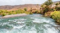 MOROCCO: The province of Chichaoua develops its sustainable water management plan©Elzbieta Sekowska/Shutterstock