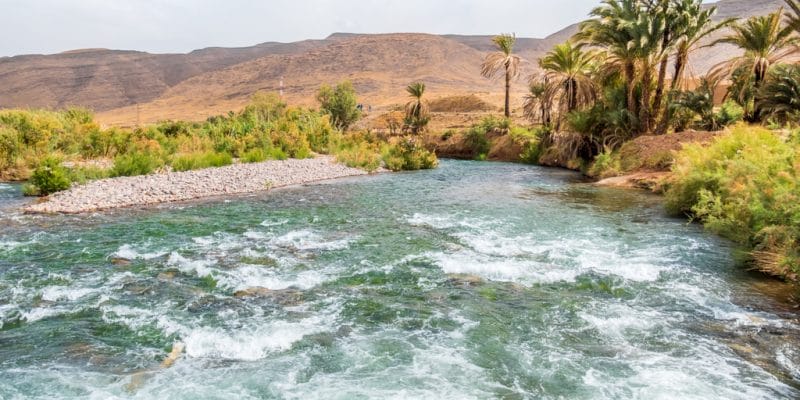 MOROCCO: The province of Chichaoua develops its sustainable water management plan©Elzbieta Sekowska/Shutterstock