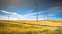 SOUTH AFRICA: BioTherm Energy connects its Excelsior wind farm (33 MW) to the grid©Lukasz Janyst/Shutterstock