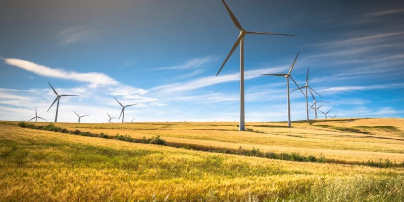 AFRIQUE DU SUD : BioTherm Energy connecte son parc éolien Excelsior (33 MW) au réseau ©Lukasz Janyst/Shutterstock