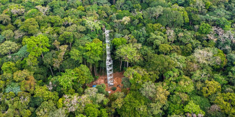 DRC: a tower to measure the impact of tropical forests on climate change© Cifor
