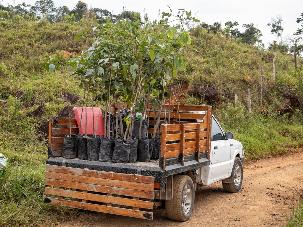 RWANDA : 28 M€ pour la restauration des forêts dégradées d’Amayaga©PlataRoncallo/Shutterstock