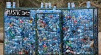 GABON: in 9 months, NAMé and Sobraga collect 146 tons of plastic bottles©Kiki Dohmeier/Shutterstock