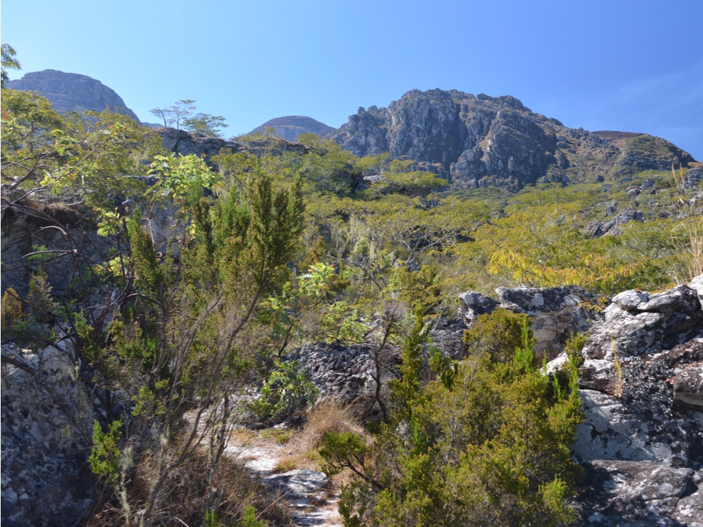 MOZAMBIQUE: the government transforms the Chimanimani reserve into a national park ©Cloete55/Shutterstock
