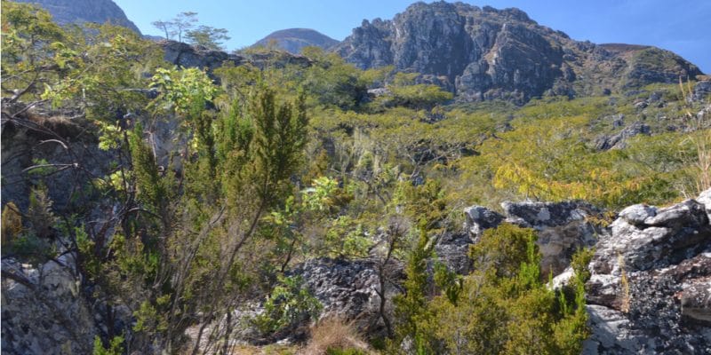 MOZAMBIQUE : le gouvernement transforme la réserve de Chimanimani en parc national ©Cloete55/Shutterstock