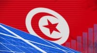 TUNISIE : le gouvernement lance un 4e appel d’offres pour 60 MWc d’énergie solaire©Anton_Medvedev/Shutterstock