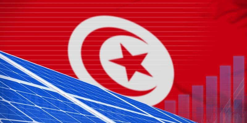 TUNISIE : le gouvernement lance un 4e appel d’offres pour 60 MWc d’énergie solaire©Anton_Medvedev/Shutterstock