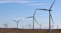 ÉGYPTE : les IPP développent un complexe éolien de 2 000 MW dans le golfe de Suez ©David Falconer/Shutterstock