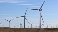EGYPT: UAE investors obtain land for 500 MW wind farm©David Falconer/Shutterstock