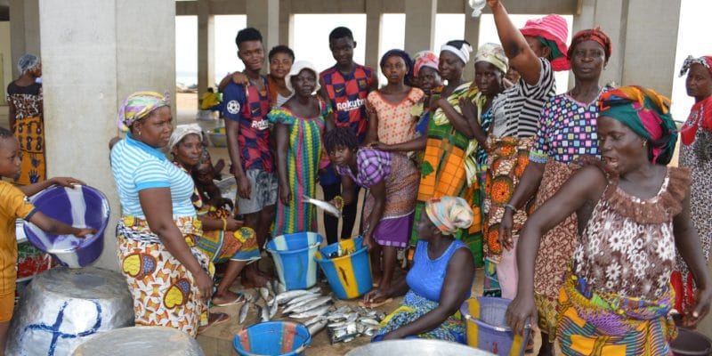 IVORY COAST: the Sassandra fish-marriers, aware of the need for a sustainable post-fishing industry©FAO-Côte d’Ivoire/Shutterstock