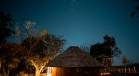 TANZANIE : Yolk veut électrifier près de 100 foyers via son projet « vache solaire » ©Alexander Narraina/Shutterstock