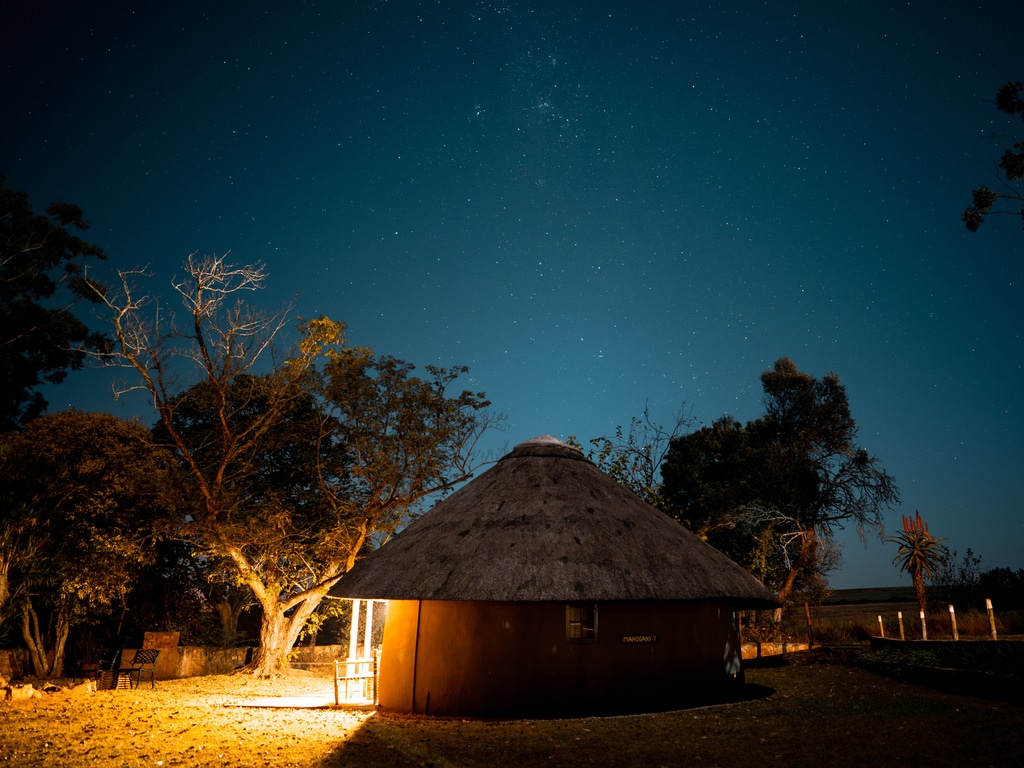 TANZANIE : Yolk veut électrifier près de 100 foyers via son projet « vache solaire » ©Alexander Narraina/Shutterstock