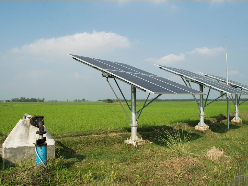 EGYPT: IFC and EBA to finance solar photovoltaic irrigation©CochraneL/Shutterstock